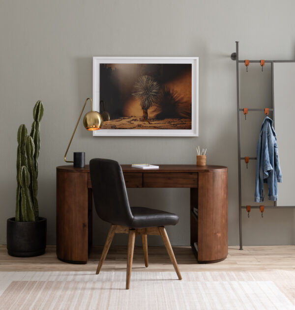 a room with chair, wooden study table, painting, and cactus plant